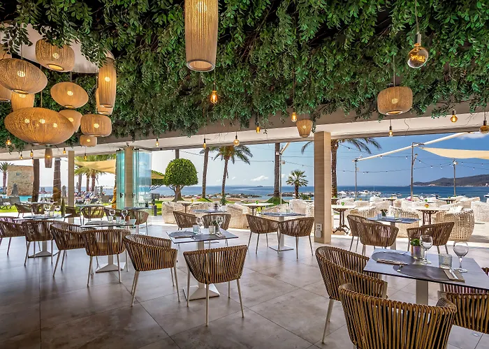Playa d'en Bossa Hotels