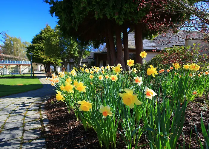 Manapouri Hotels