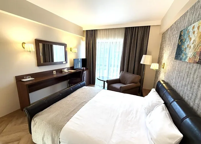 Iasi Hotels
