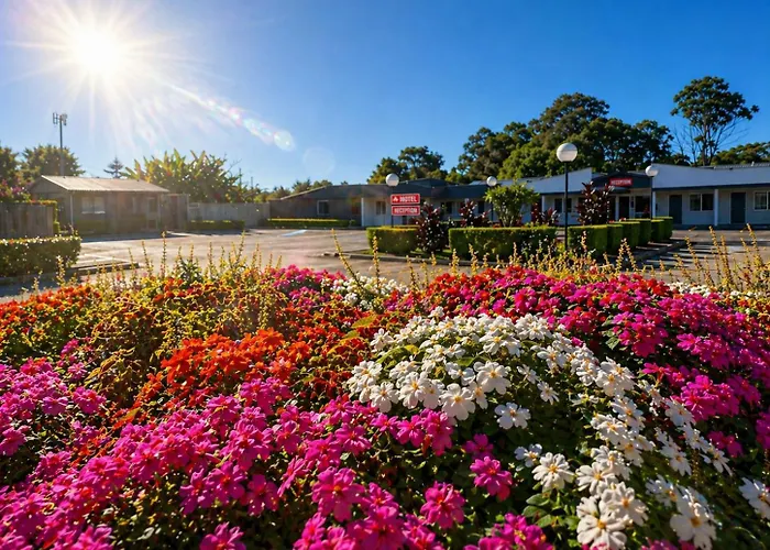 Casula Hotels