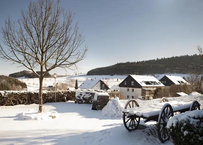 Willingen (Upland) Hotels