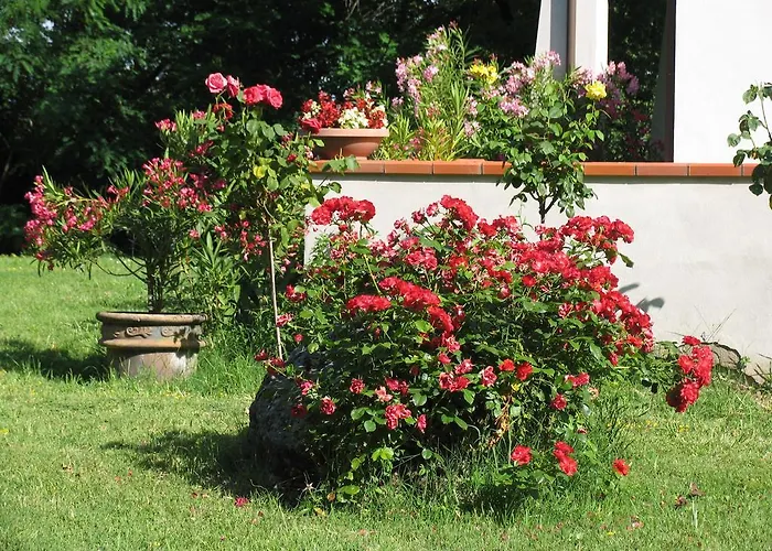 La Casa Dei Boschi Bed & Breakfast San Marino