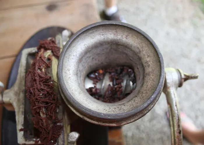 Magellan Boutique Hotel Cahuita