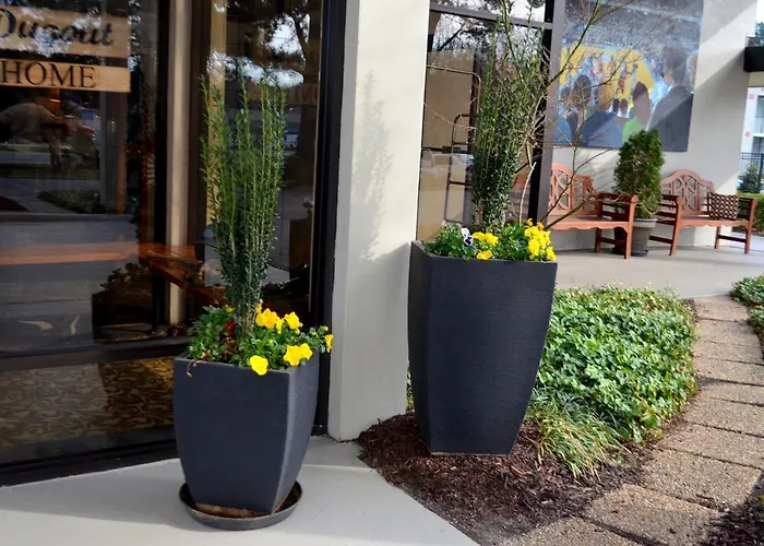 Chapel Hill University Inn