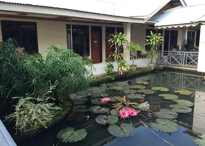 Kotamobagu Hotels