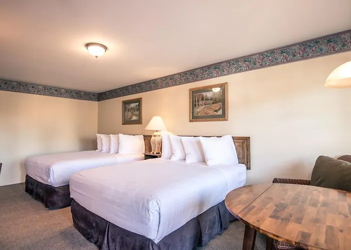 Wildlife Inn Winston