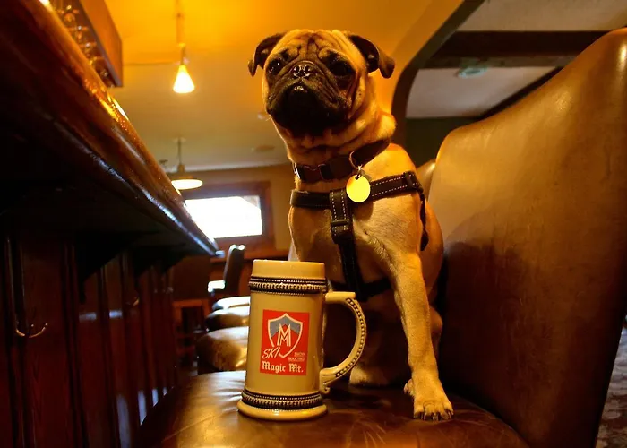 The Upper Pass Lodge Londonderry