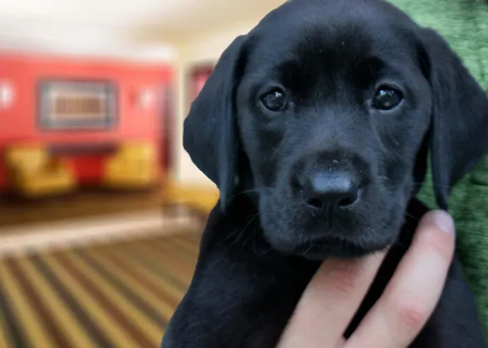 Extended Stay America Suites - Washington, Dc - Tysons Corner