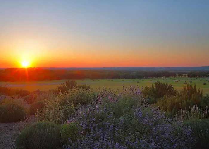 Rose Hill Retreat Aaa Four Diamond Inn Stonewall