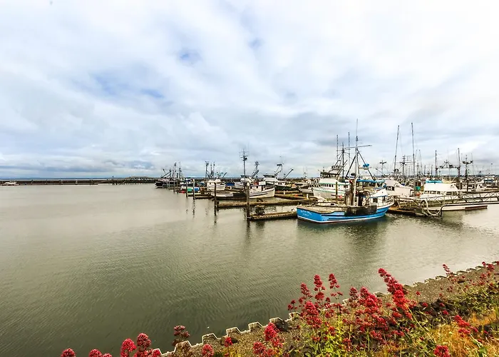 Sunny Delight Apartment Westport