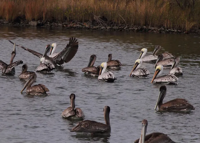 Marina Inn & Suites Chalmette-New Orleans