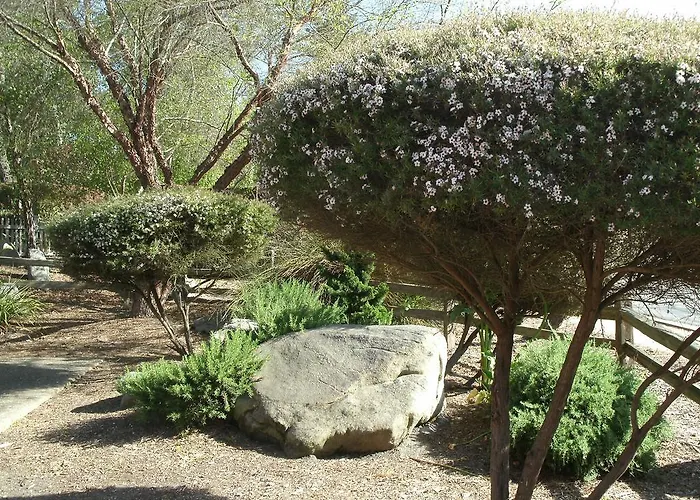 Rosedale Inn Pacific Grove