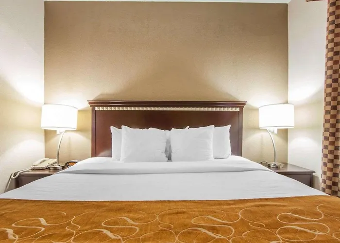 Comfort Suites London South