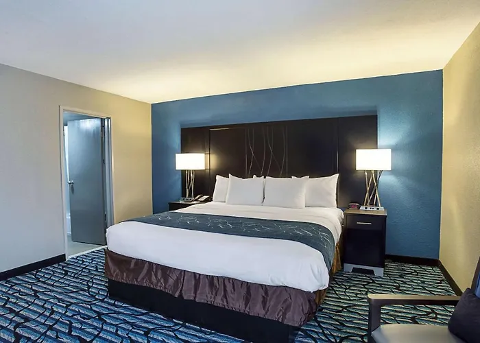 Comfort Suites University Baton Rouge