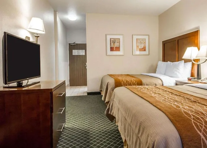 Comfort Inn & Suites Oakland Airport