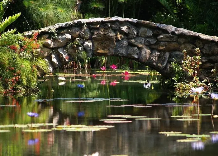 Surestay Plus Hotel By Best Western Vero Beach