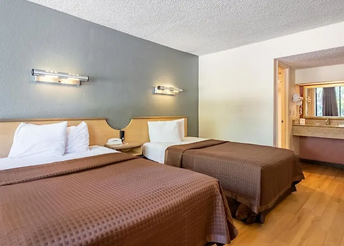 Econo Lodge Palm Harbor - Clearwater