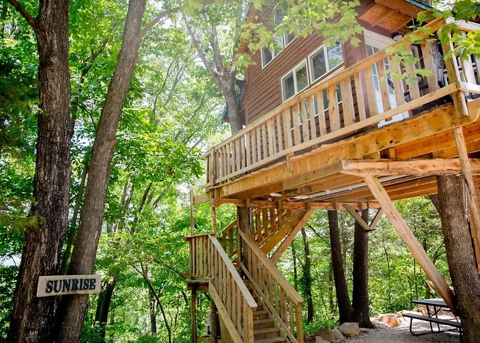 The Cottage Treehouses Hermann