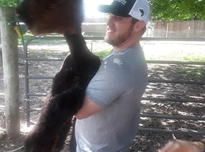 Old Irish Bed And Breakfast Denton