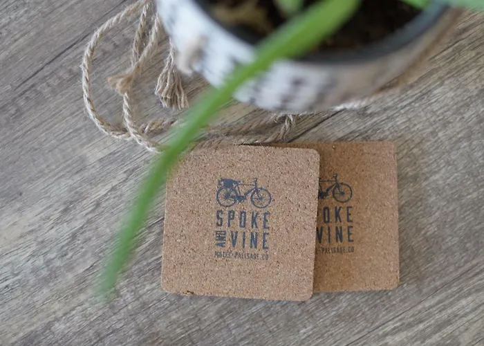 Spoke And Vine Motel Palisade