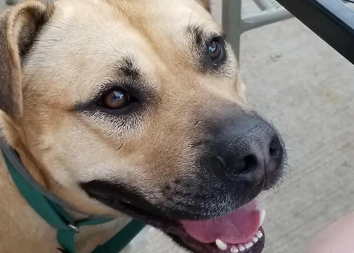 Clifford House Private Home B&B Cleveland