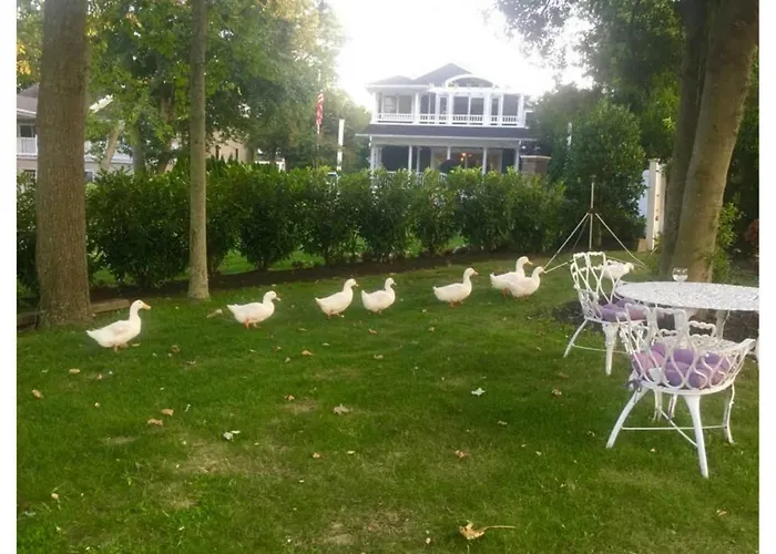 Walden On The Pond Hotel Spring Lake