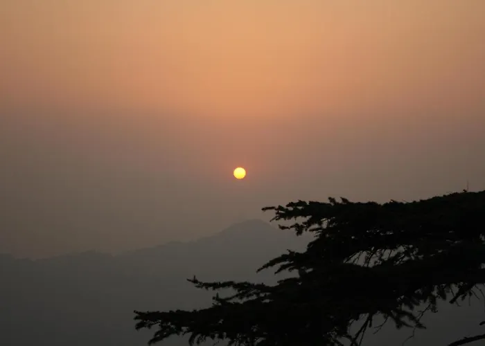 Honeymoon Inn Shimla