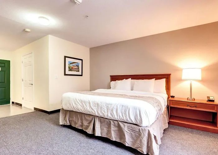 Suburban Studios Westminster Denver North